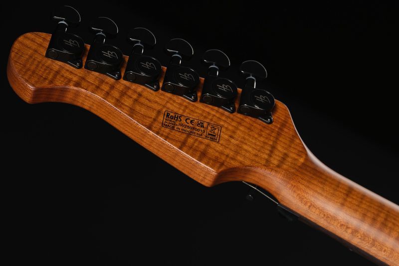 Harley Benton Fusion-IV HH RW FR WM 618126 фото