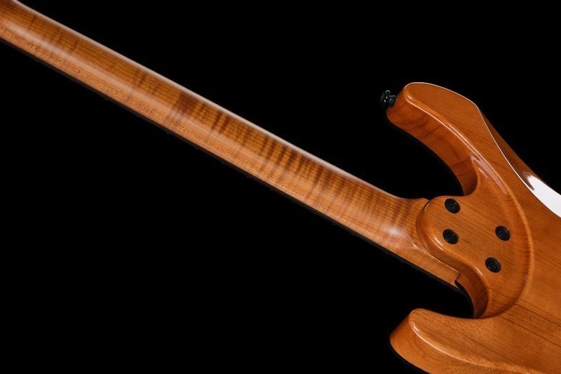 Harley Benton Fusion-IV HH RW FR WM 618126 фото