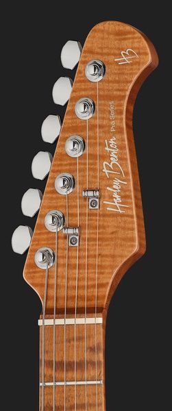 Harley Benton Fusion-IV HH MN OTC 618081 фото