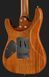 Harley Benton Fusion-IV HH MN OTC 618081 фото 5