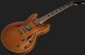 Електрогітара Harley Benton HB-35TL Tesla Golden Mist 580728 фото 8