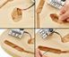 Електрогітара Harley Benton Electric Guitar Kit TL T-Style (набір для самозбірки) 549487 фото 14