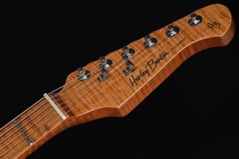 Harley Benton Fusion-IV HH MN OTC 618081 фото