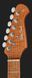 Harley Benton Fusion-IV HSS MN QBKB 618002 фото 6