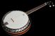 Harley Benton HBJ-24 Short Scale Tenor Banjo 480646 фото 9